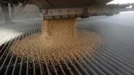 Produção deve recuar em 12 milhões de toneladas A safra agrícola de 2024 deve totalizar 303,4 milhões de toneladas, 12 […]