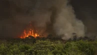 A Confederação Nacional dos Municípios (CNM) estima que 11,2 milhões de pessoas já foram diretamente afetadas por incêndios florestais nas […]